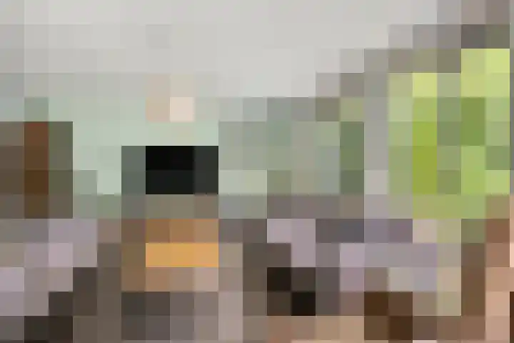 Koekoeklaan 24 Almere thumbnail 12