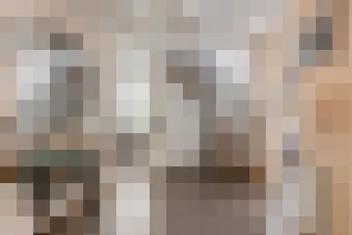 Koekoeklaan 24 Almere thumbnail 19
