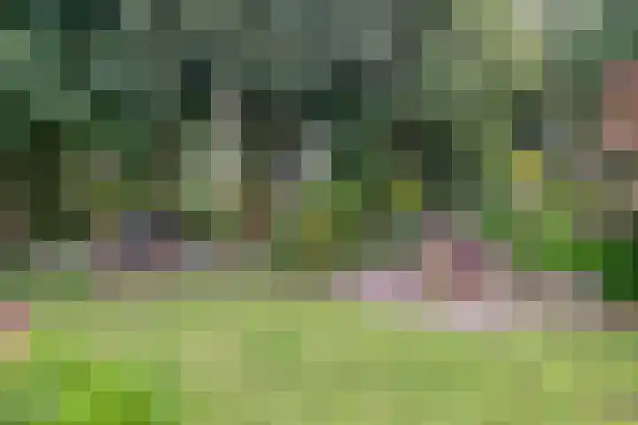 Koekoeklaan 24 Almere thumbnail 38