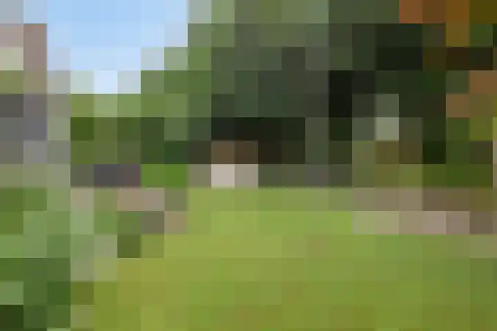 Koekoeklaan 24 Almere thumbnail 39
