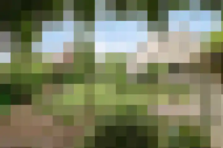 Koekoeklaan 24 Almere thumbnail 4