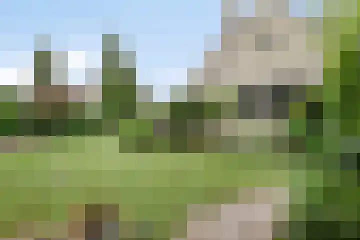 Koekoeklaan 24 Almere thumbnail 40
