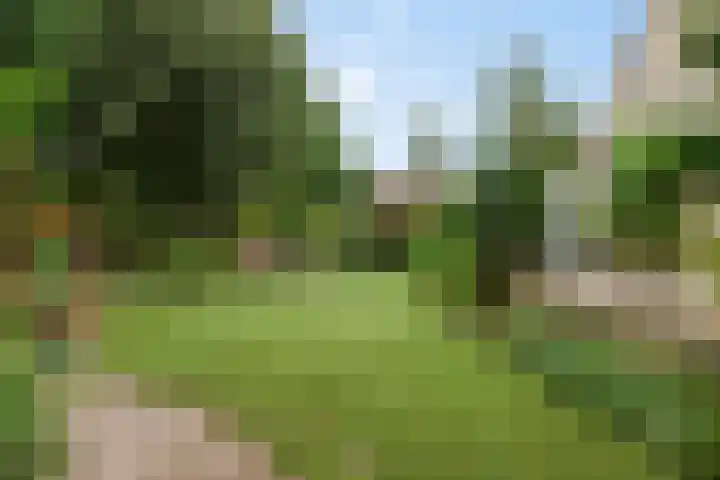 Koekoeklaan 24 Almere thumbnail 41