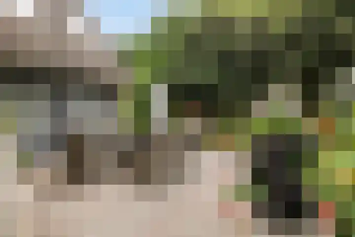 Koekoeklaan 24 Almere thumbnail 43