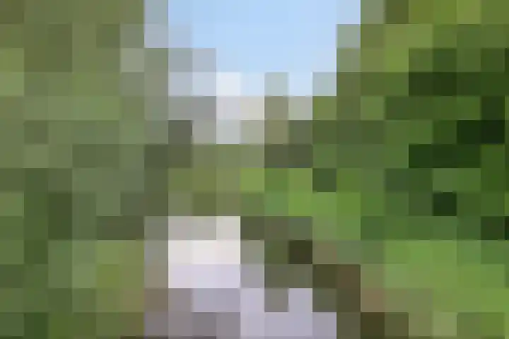 Koekoeklaan 24 Almere thumbnail 45