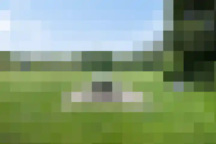 Koekoeklaan 24 Almere thumbnail 46