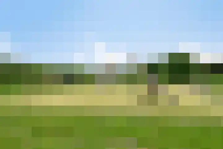 Koekoeklaan 24 Almere thumbnail 47