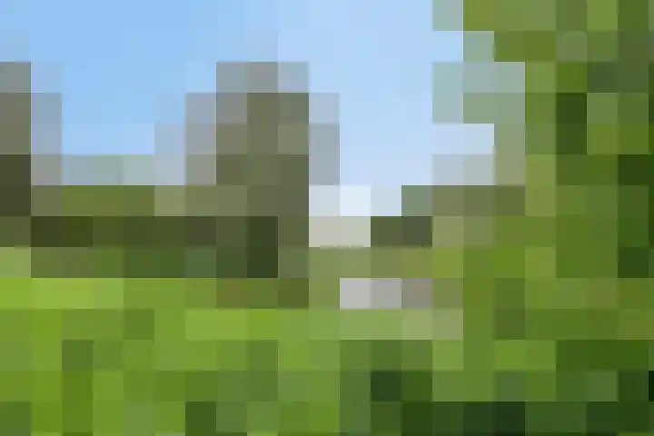 Koekoeklaan 24 Almere thumbnail 48
