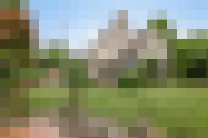 Koekoeklaan 24 Almere thumbnail 55