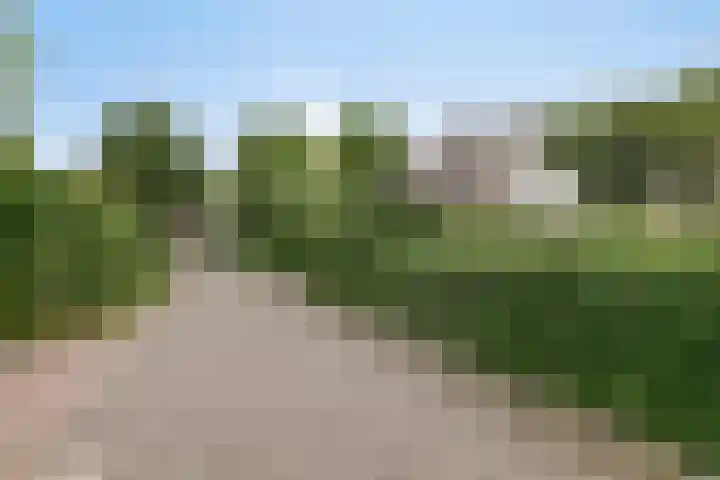 Koekoeklaan 24 Almere thumbnail 6