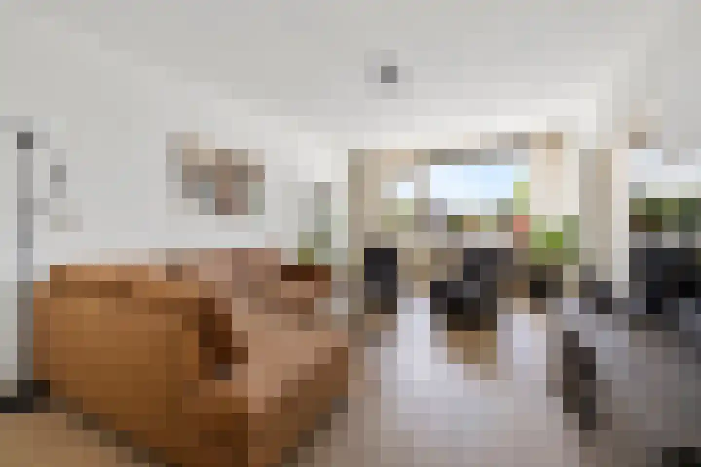 Koekoeklaan 28 Bussum thumbnail 10