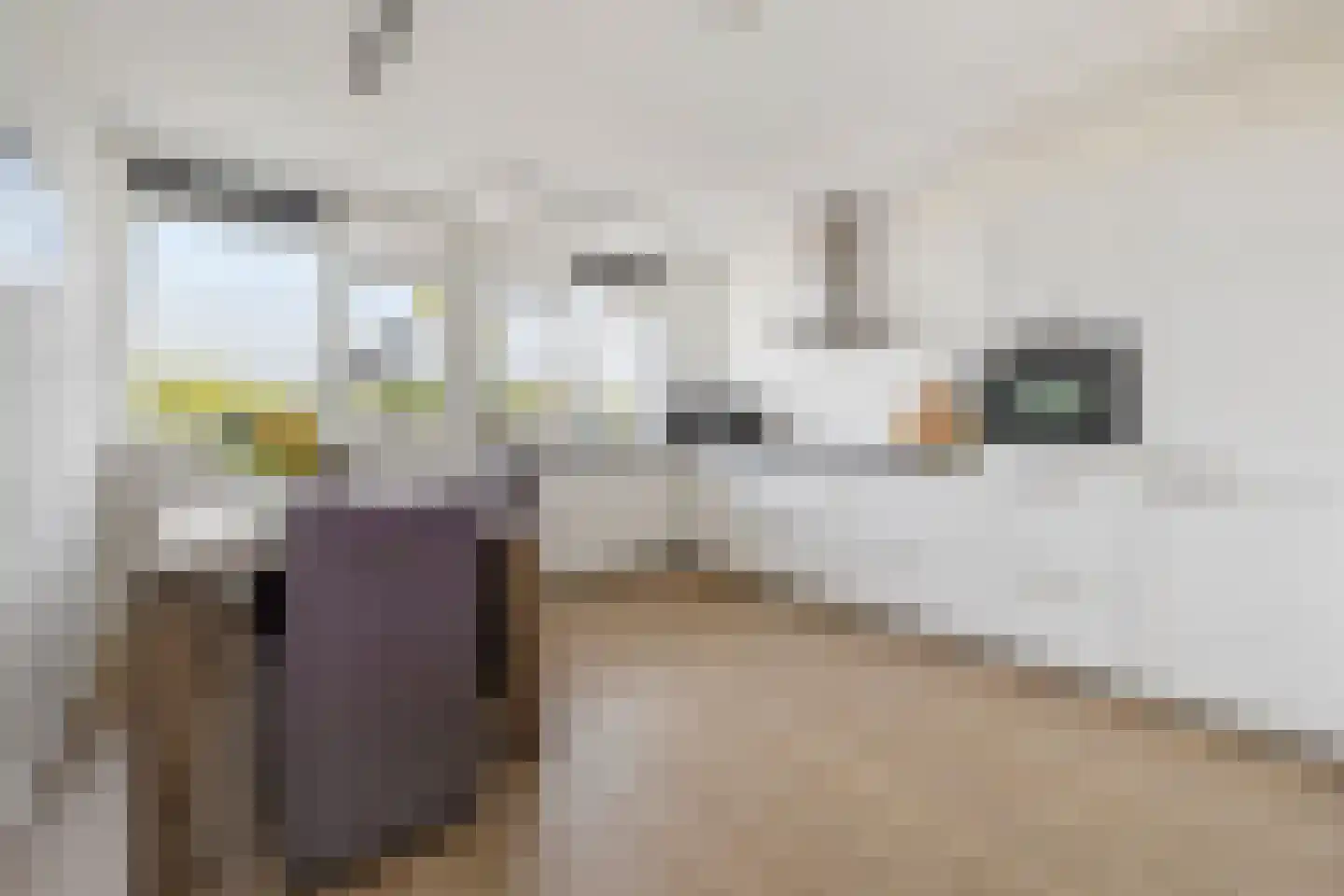 Koekoeklaan 28 Bussum thumbnail 7