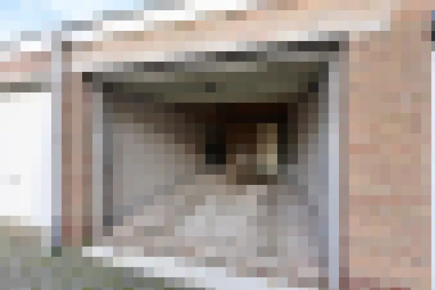 Koekoeklaan 35 Bussum thumbnail 17