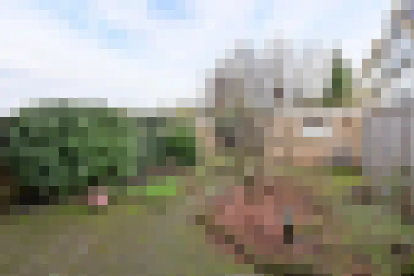 Koekoeklaan 35 Bussum thumbnail 6