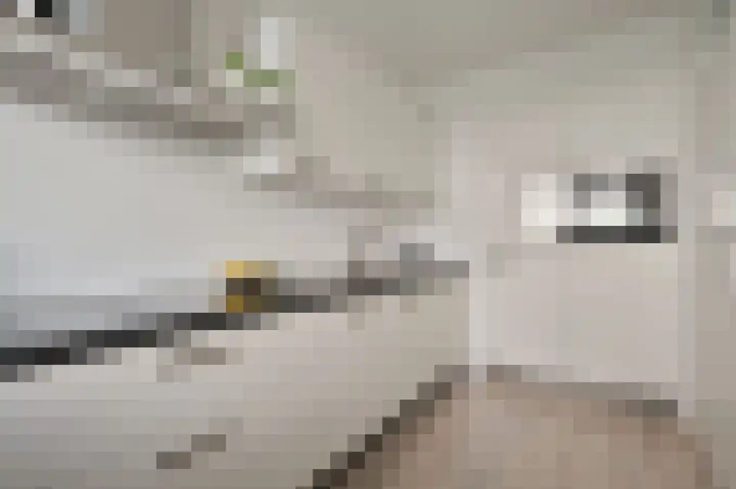 Koekoeklaan 44 Bussum thumbnail 12