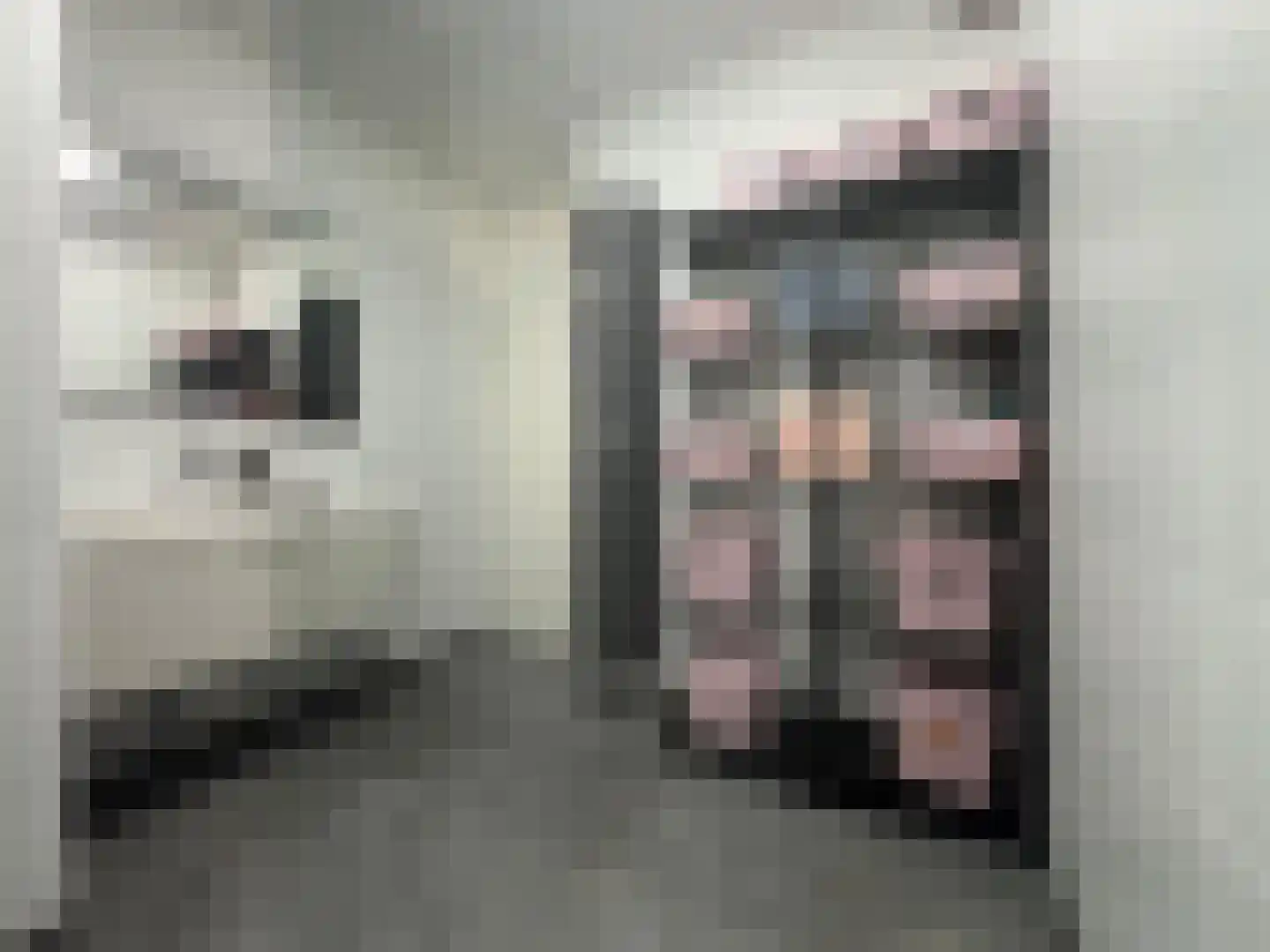Koekoeklaan 44 Bussum thumbnail 15