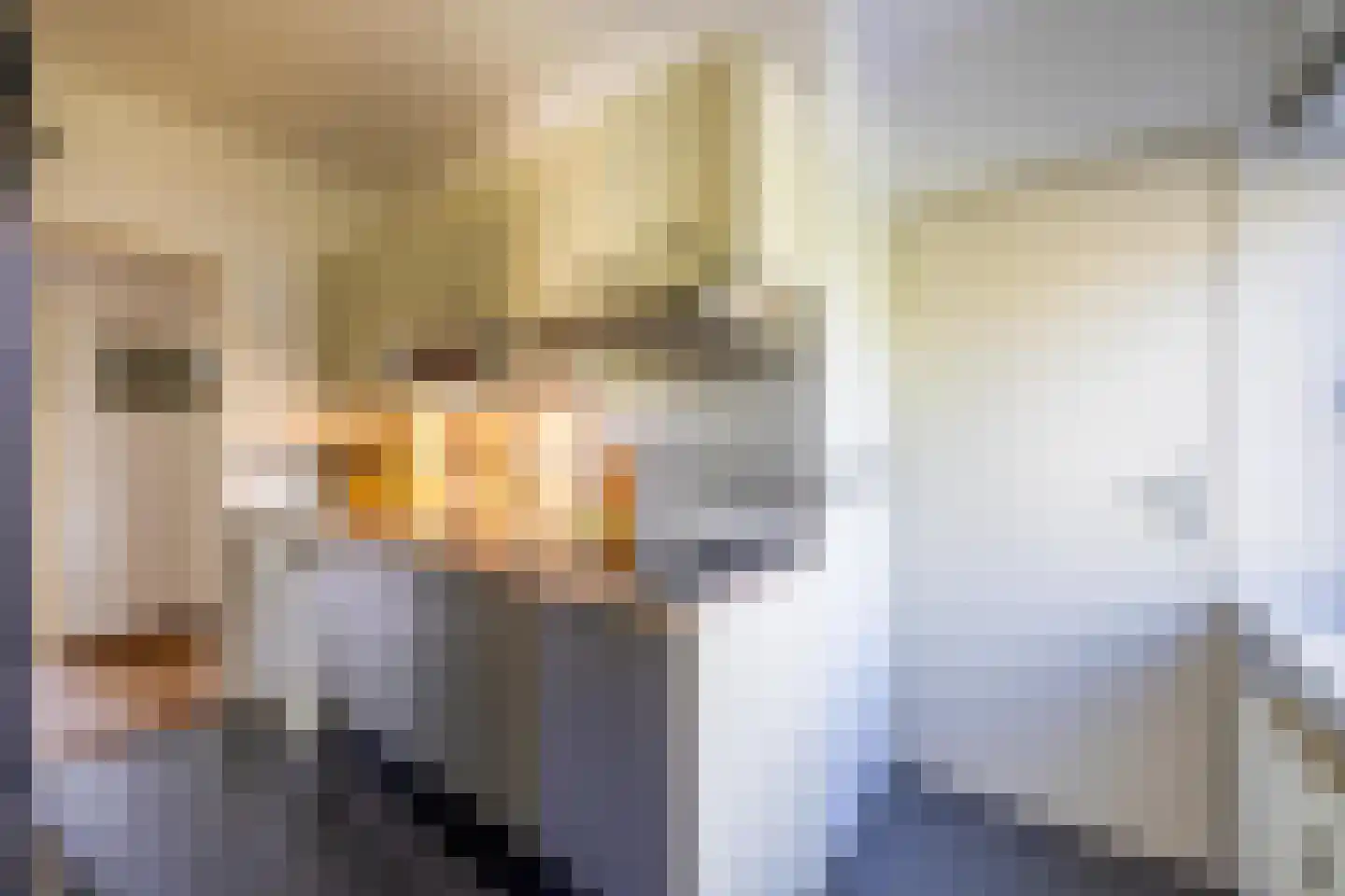 Koekoeklaan 65 Bussum thumbnail 23