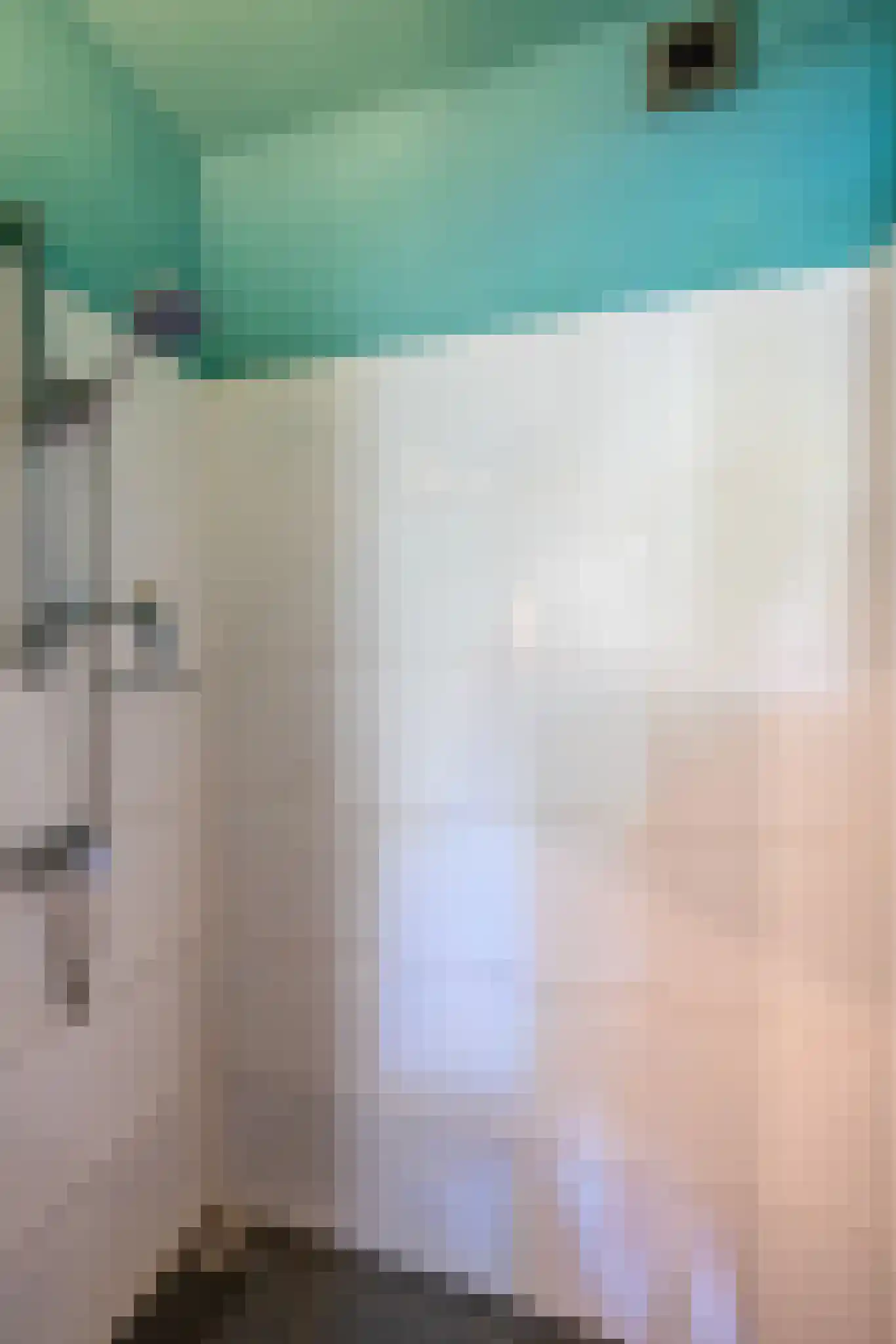 Koekoeklaan 65 Bussum thumbnail 30