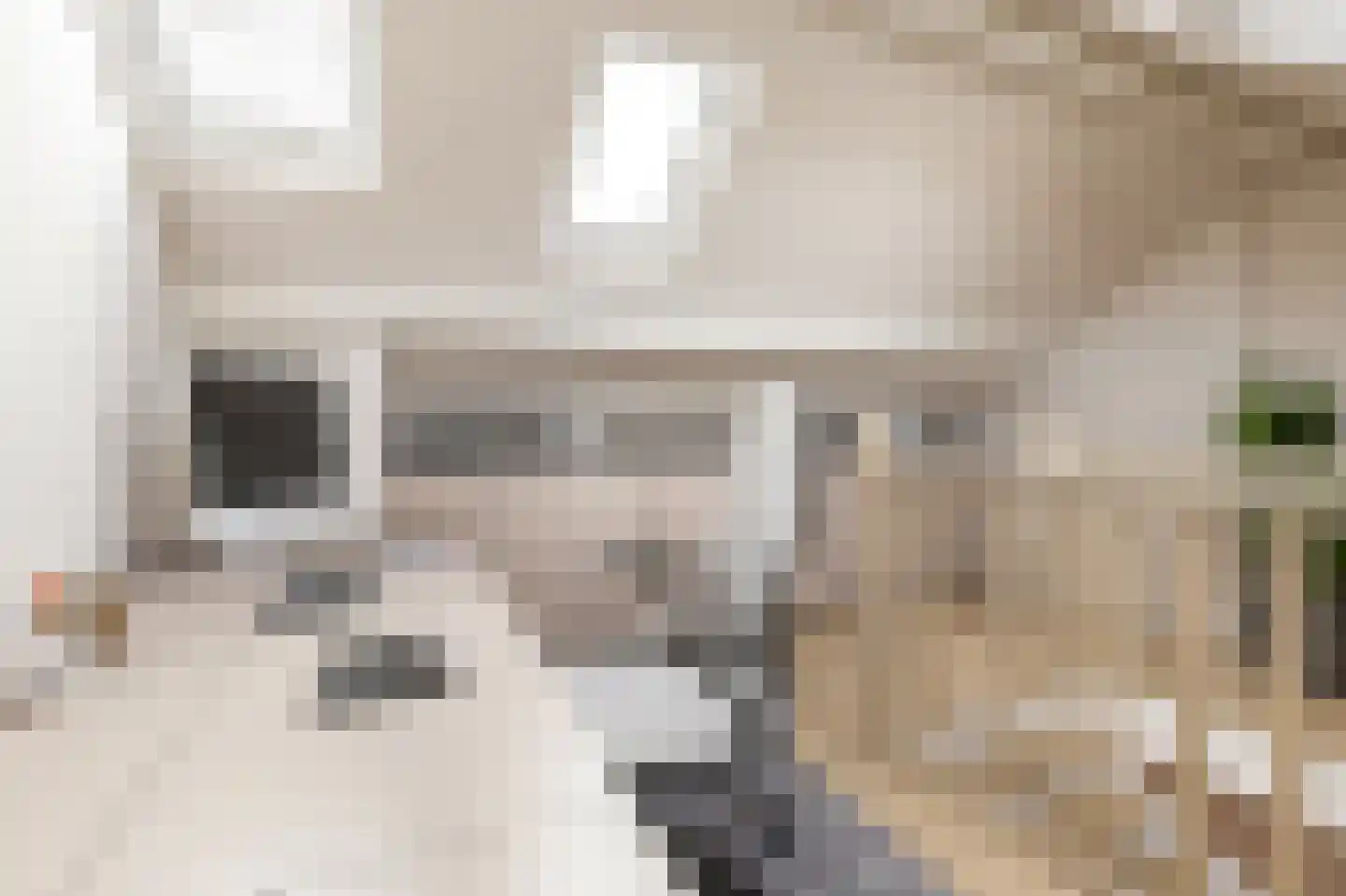Koekoeklaan 8 Den Haag thumbnail 27