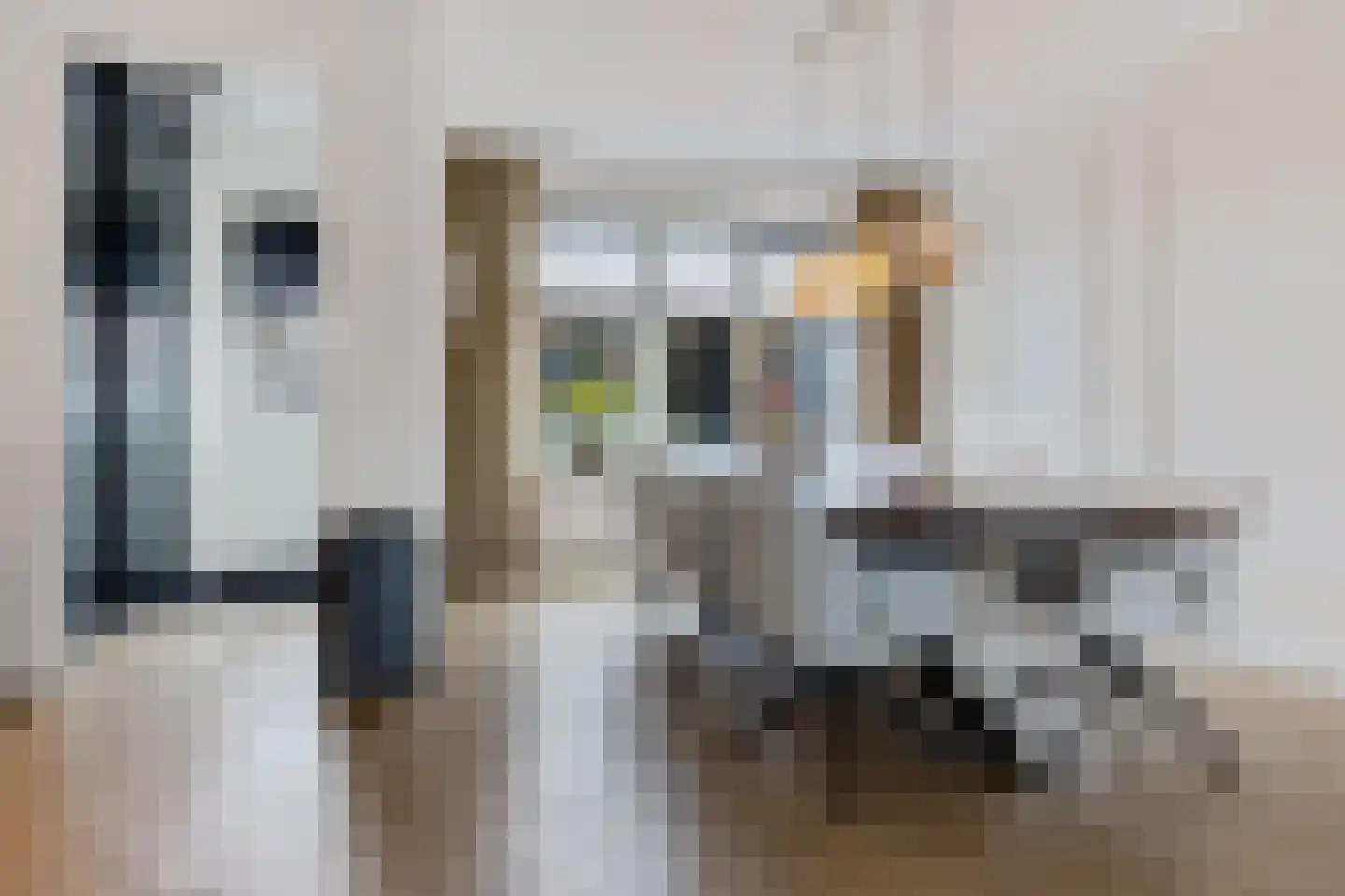 Koekoeksberg 3 Genemuiden thumbnail 17