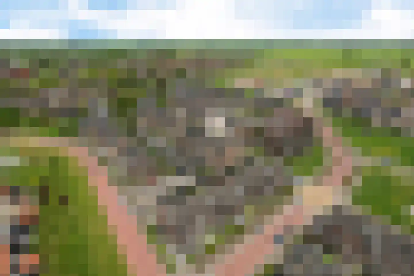 Koekoeksberg 3 Genemuiden thumbnail 23