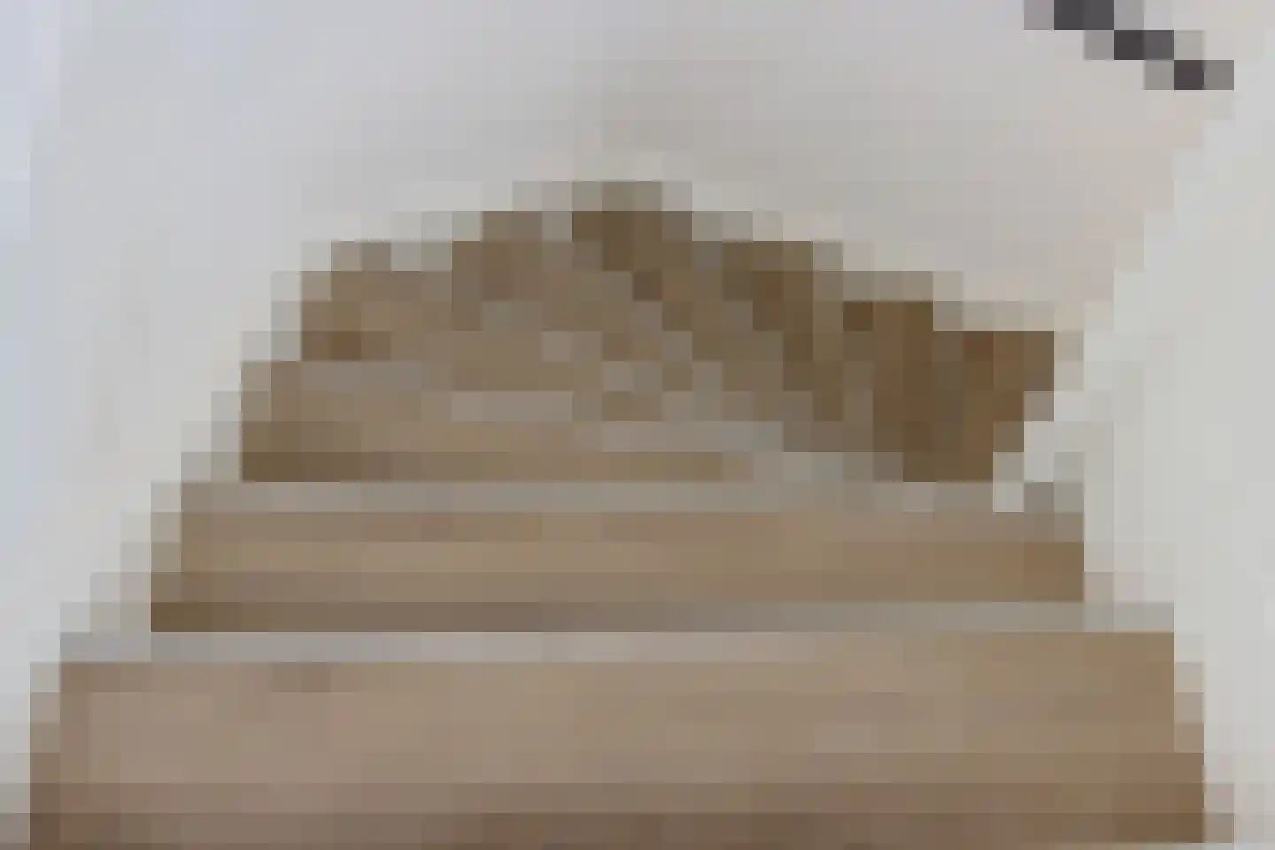 Koekoeksberg 3 Genemuiden thumbnail 30