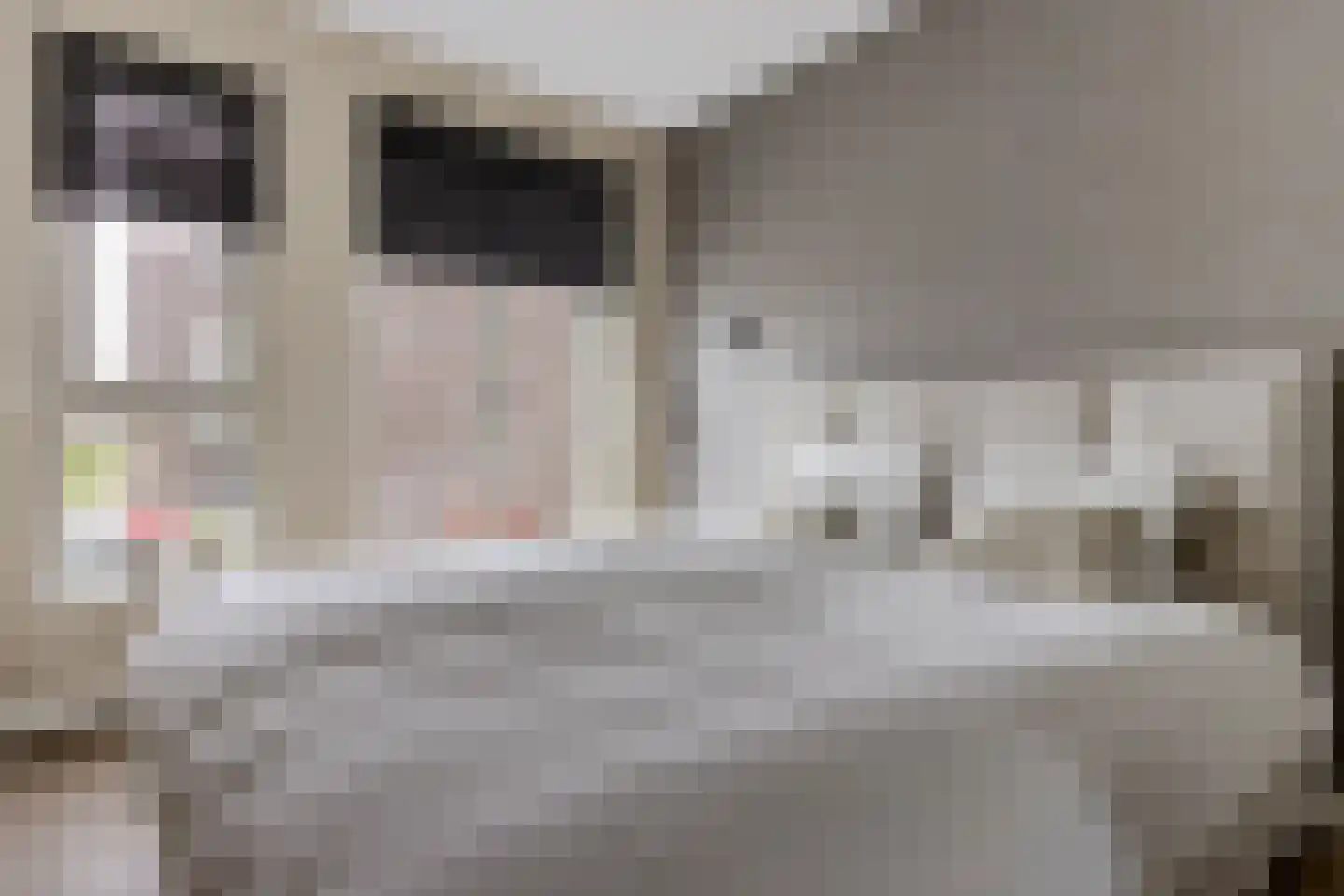 Koekoeksberg 3 Genemuiden thumbnail 32