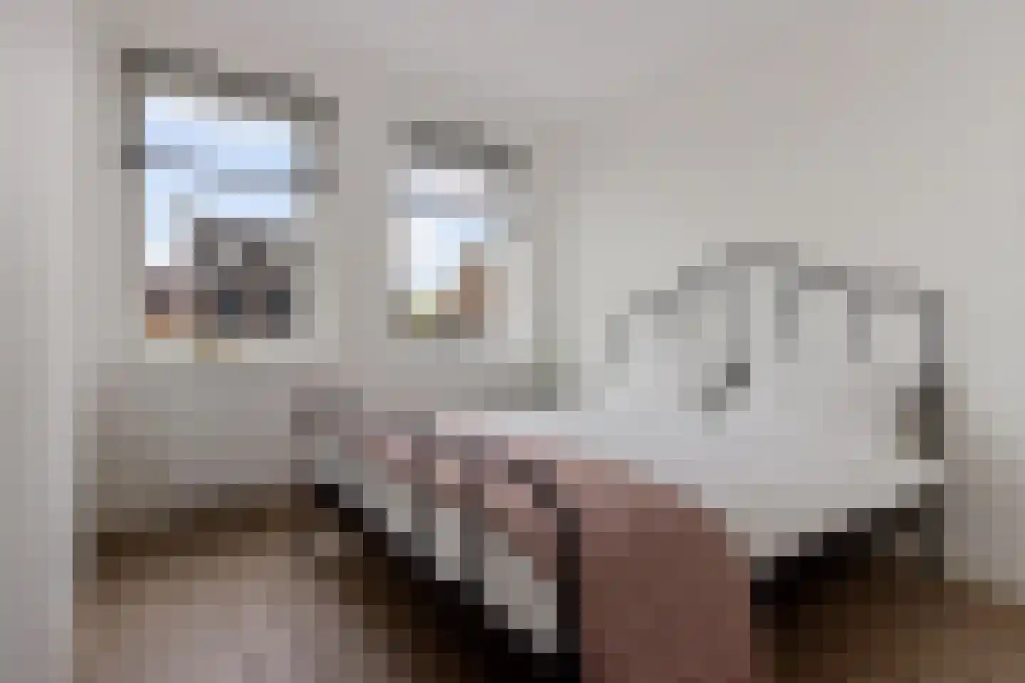 Koekoeksberg 3 Genemuiden thumbnail 37
