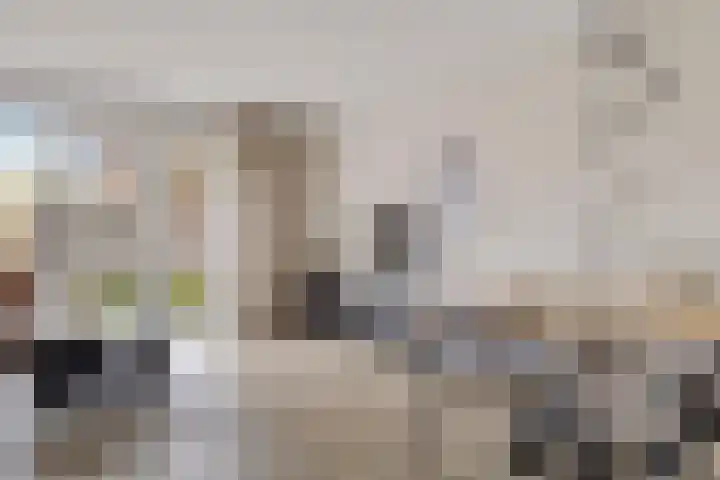 Koekoeksberg 36 Genemuiden thumbnail 12