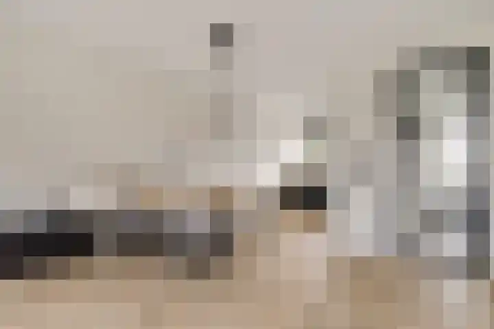 Koekoeksberg 36 Genemuiden thumbnail 17