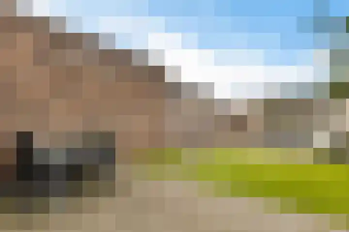 Koekoeksberg 36 Genemuiden thumbnail 25