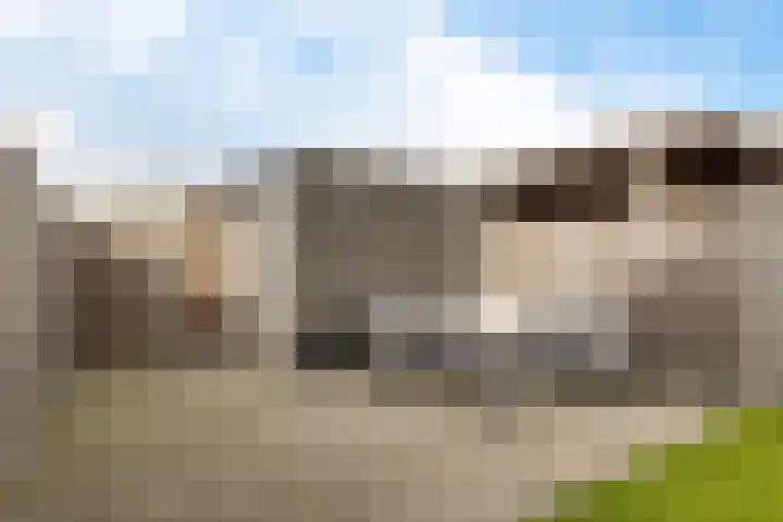 Koekoeksberg 36 Genemuiden thumbnail 26