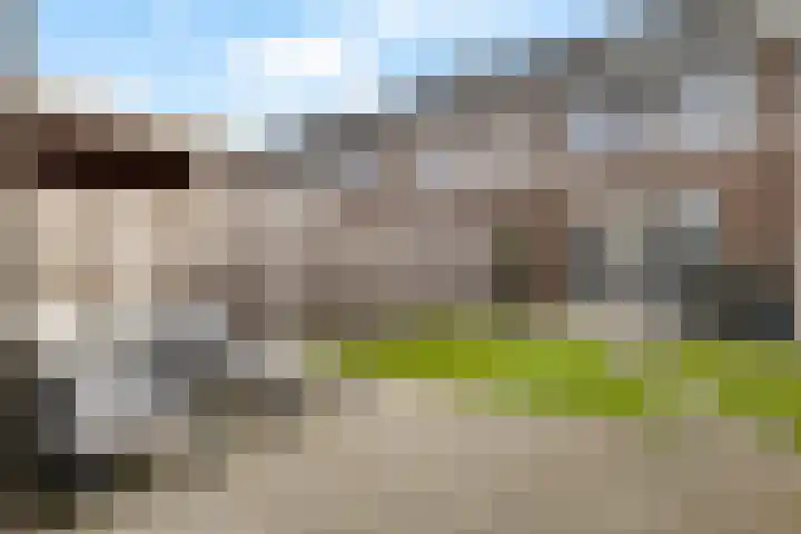 Koekoeksberg 36 Genemuiden thumbnail 27