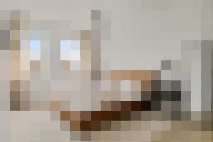 Koekoeksberg 36 Genemuiden thumbnail 29