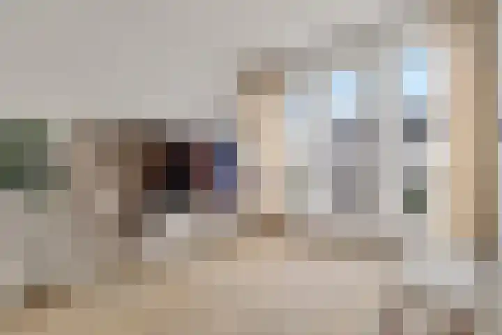 Koekoeksberg 36 Genemuiden thumbnail 31