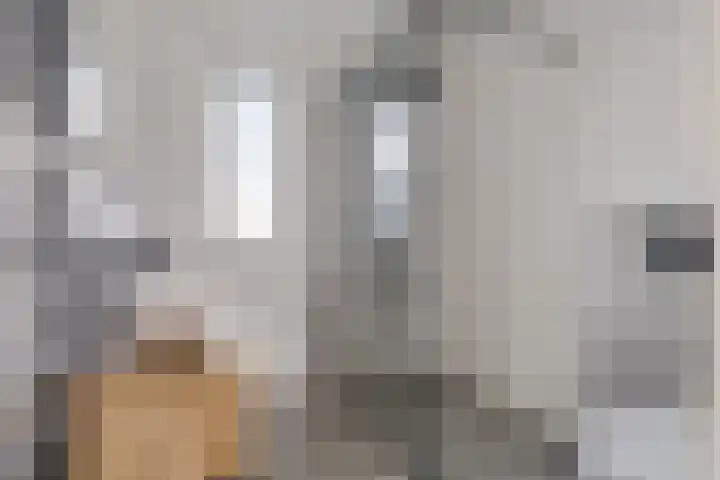 Koekoeksberg 36 Genemuiden thumbnail 32