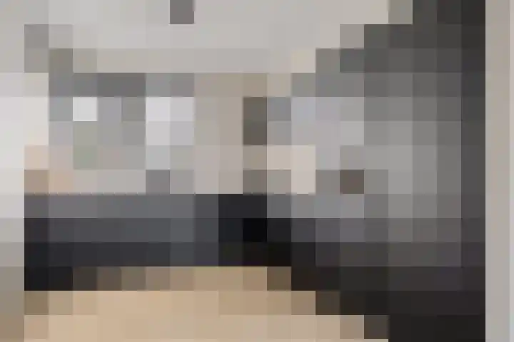 Koekoeksberg 36 Genemuiden thumbnail 4