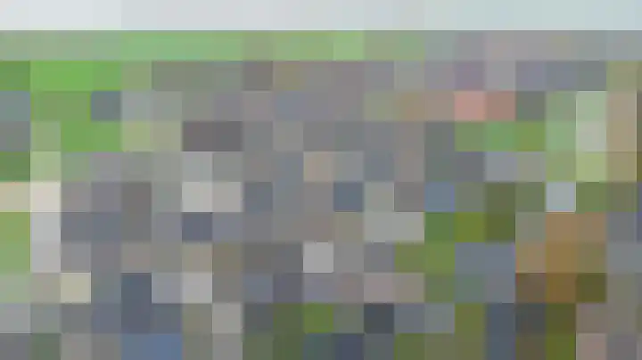 Koekoeksberg 36 Genemuiden thumbnail 7