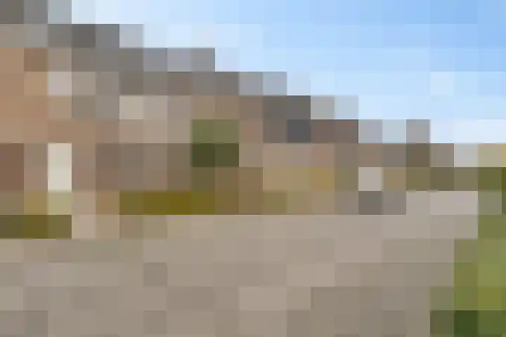 Koekoeksberg 36 Genemuiden thumbnail 9