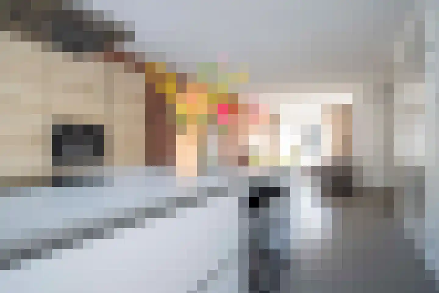 Koekoeksberg 9 Genemuiden thumbnail 17