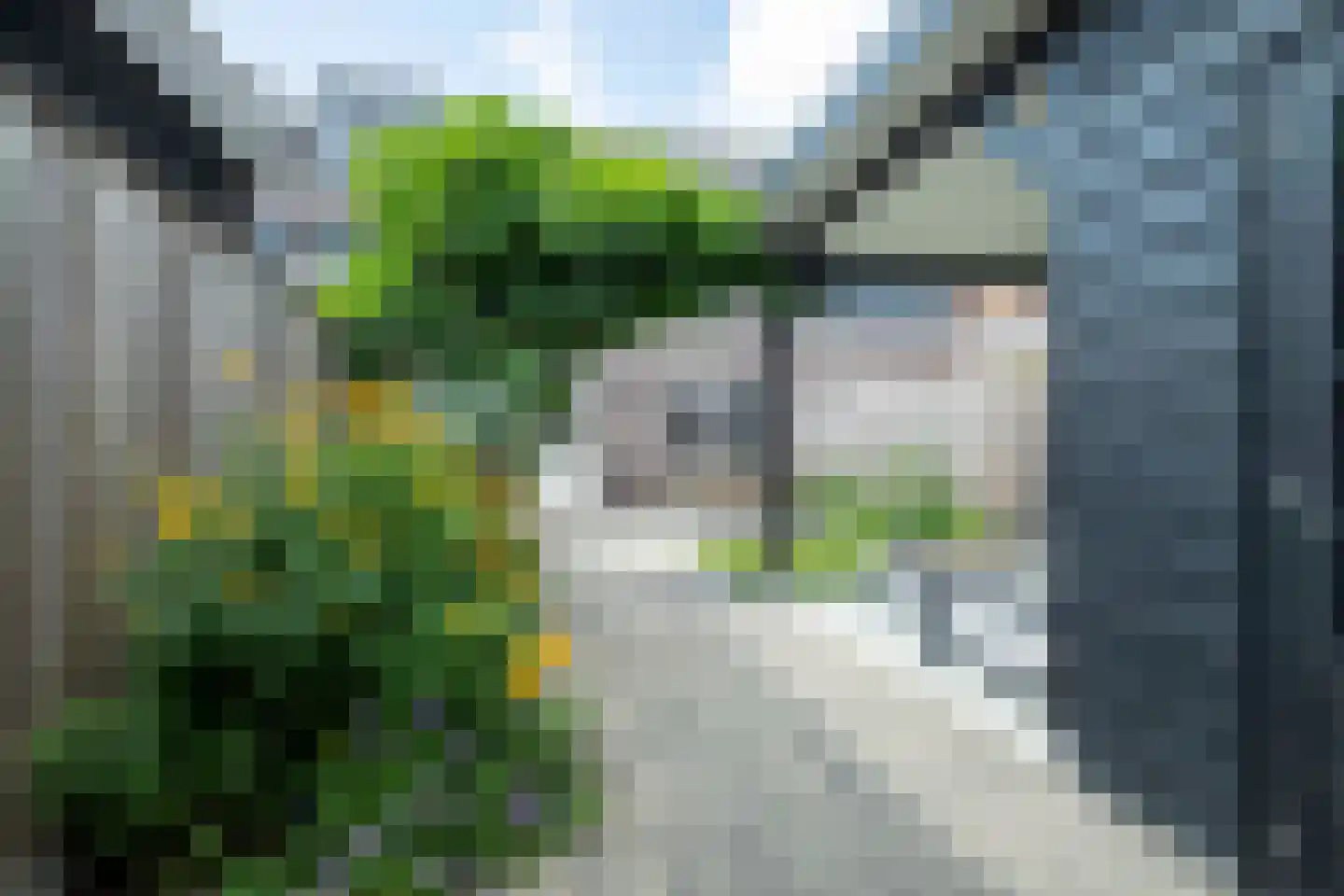Koekoeksberg 9 Genemuiden thumbnail 34