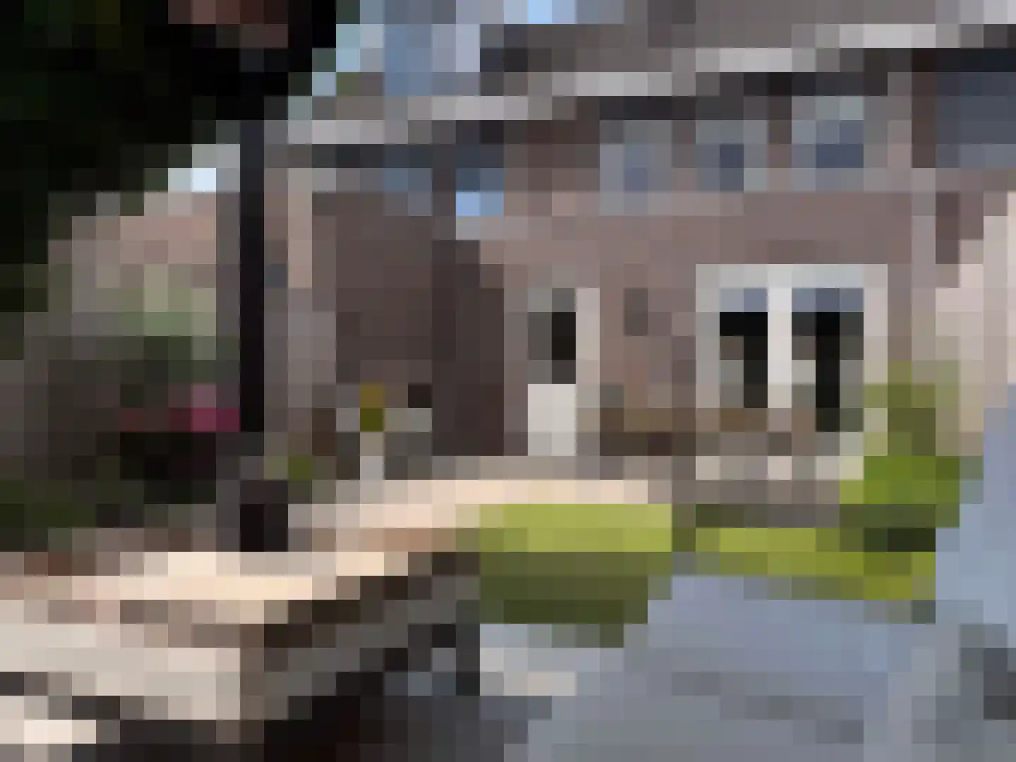 Koekoeksberg 9 Genemuiden thumbnail 42