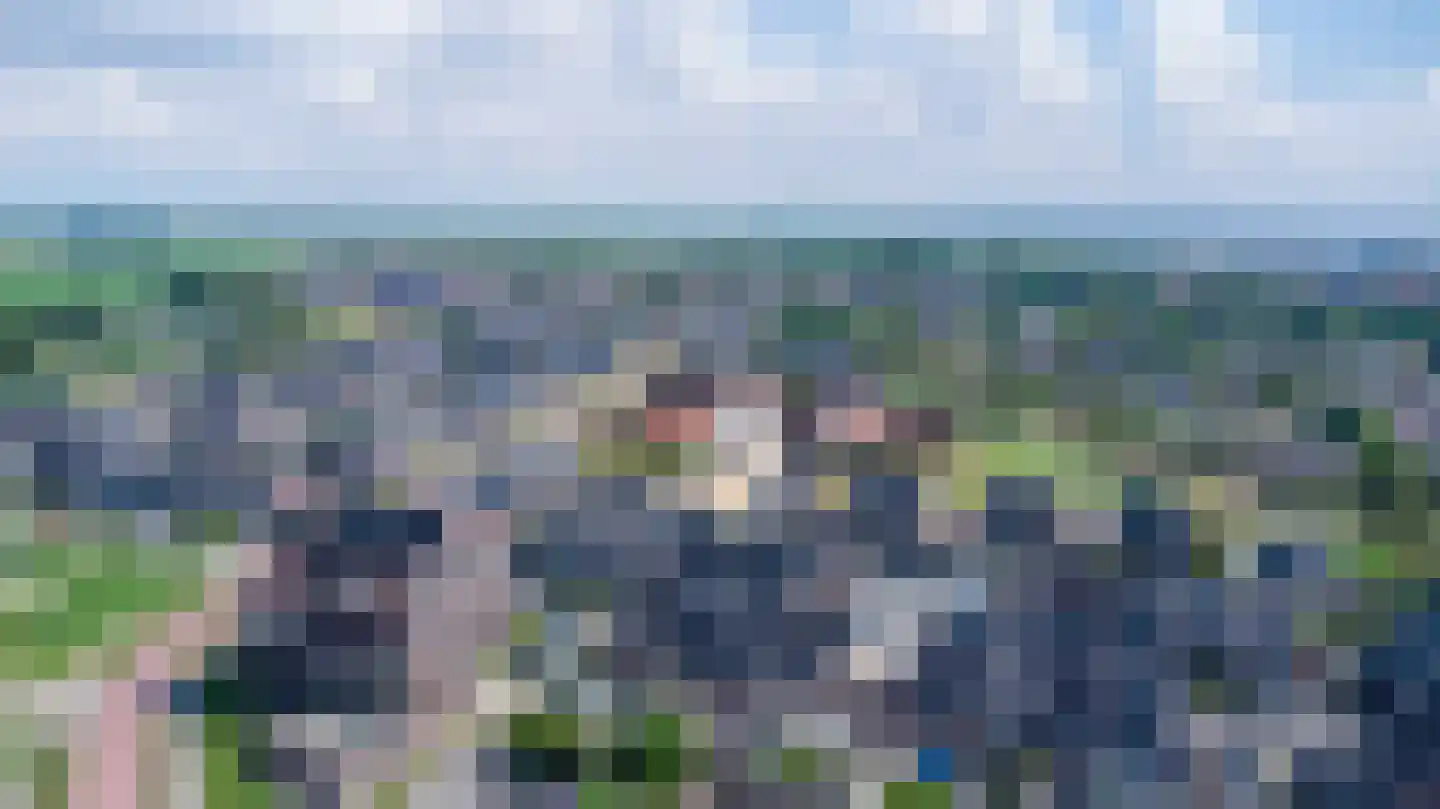 Koekoeksberg 9 Genemuiden thumbnail 7