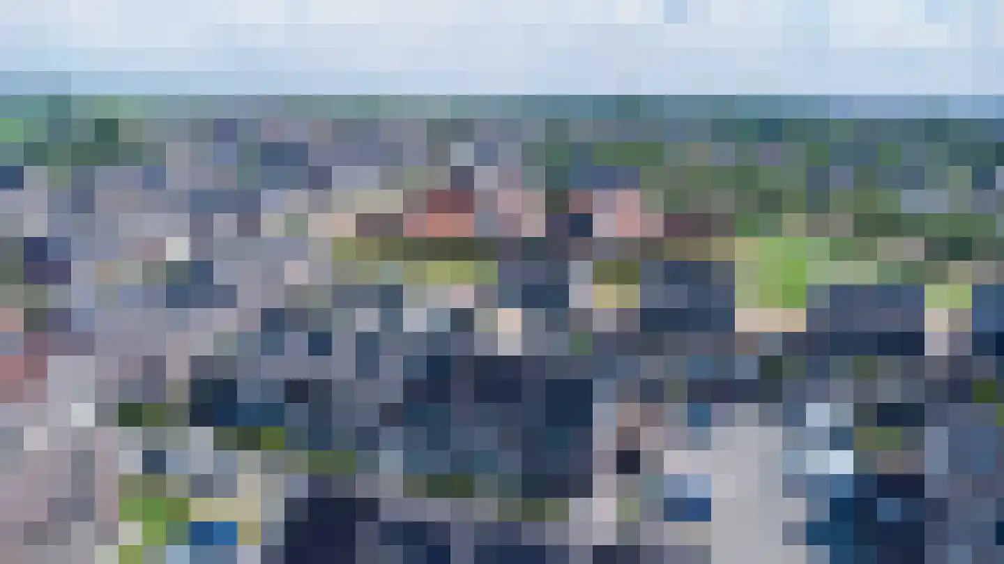 Koekoeksberg 9 Genemuiden thumbnail 8