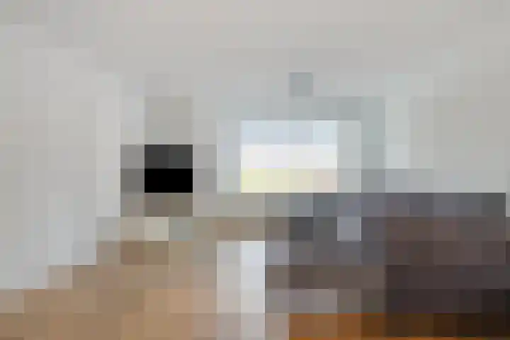 Koekoeksbloem 1 Swifterbant thumbnail 10