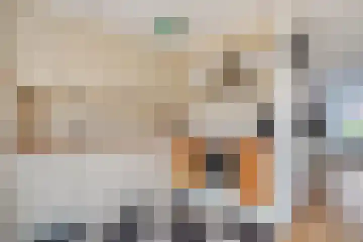 Koekoeksbloem 1 Swifterbant thumbnail 12