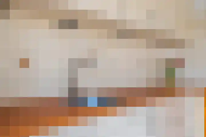 Koekoeksbloem 1 Swifterbant thumbnail 14