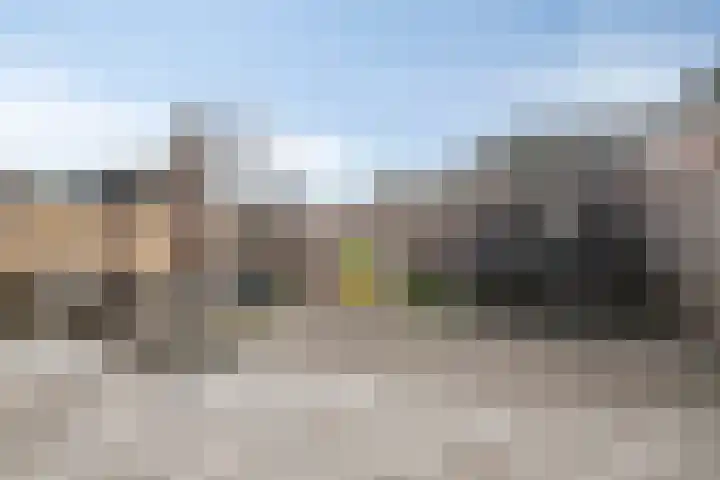 Koekoeksbloem 1 Swifterbant thumbnail 29