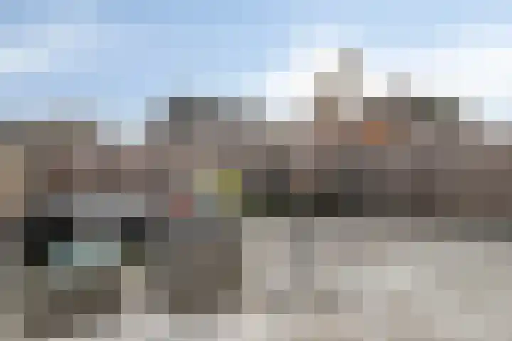 Koekoeksbloem 1 Swifterbant thumbnail 30