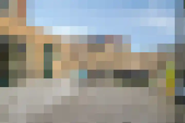 Koekoeksbloem 1 Swifterbant thumbnail 31